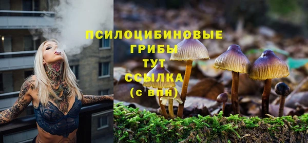 кристаллы Абаза