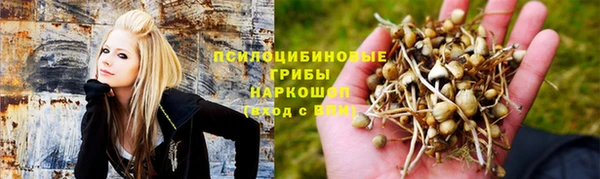 шишки Абдулино
