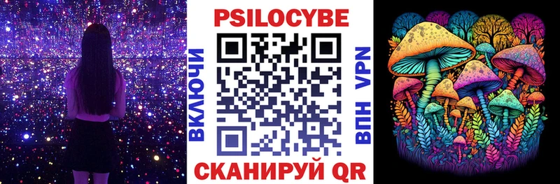 Псилоцибиновые грибы Psilocybe  Сызрань 