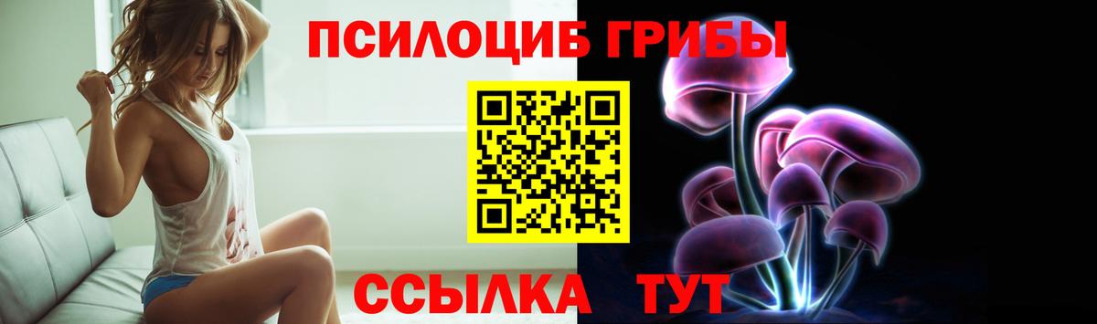 Галлюциногенные грибы Psilocybe  Псилоцибиновые грибы мицелий  Вход с VPN  Сызрань 